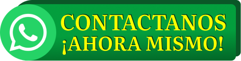 whatsapp en usa
